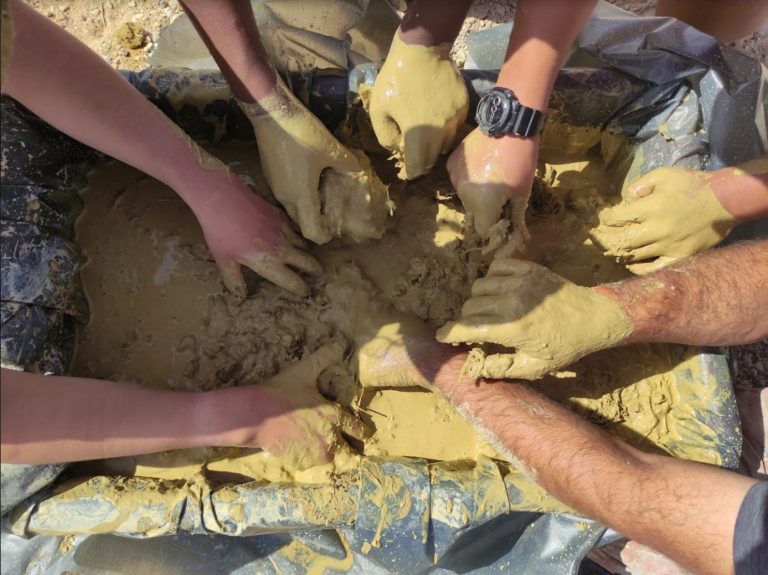 פעילות בחווה